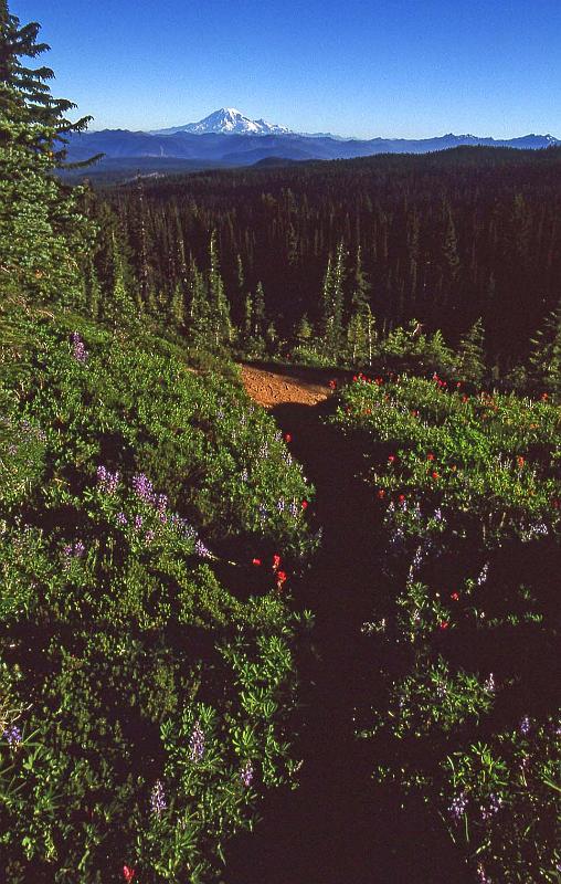 2000-08 Mt Adams BPack w Kevin 09.jpg